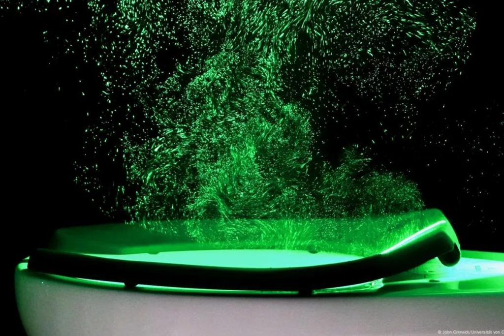 Colocar água oxigenada na sanita: por que recomendam fazê-lo e para que serve