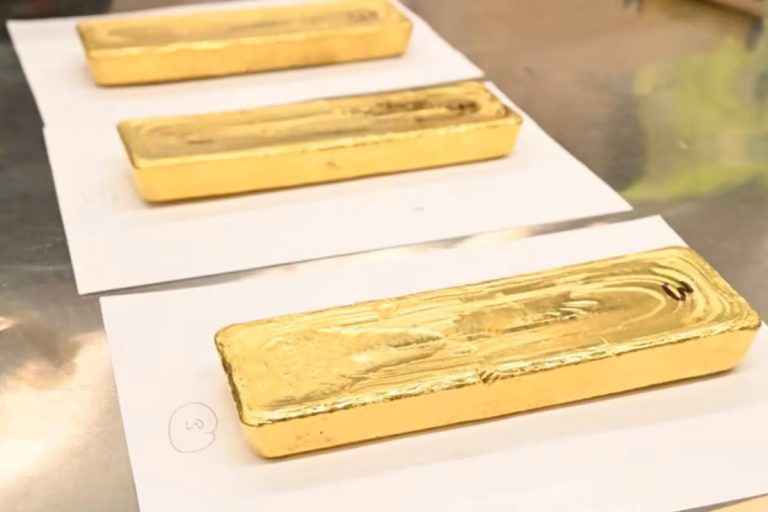 Quatro barras com mais de 35 quilos, provenientes da extração ilegal de ouro e avaliadas em quase 2 milhões de dólares, foram apreendidas