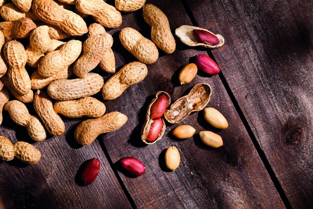 Pai e filha encontraram na biotecnologia a solução para um problema que afeta uma cultura que gera milhões de dólares para o país