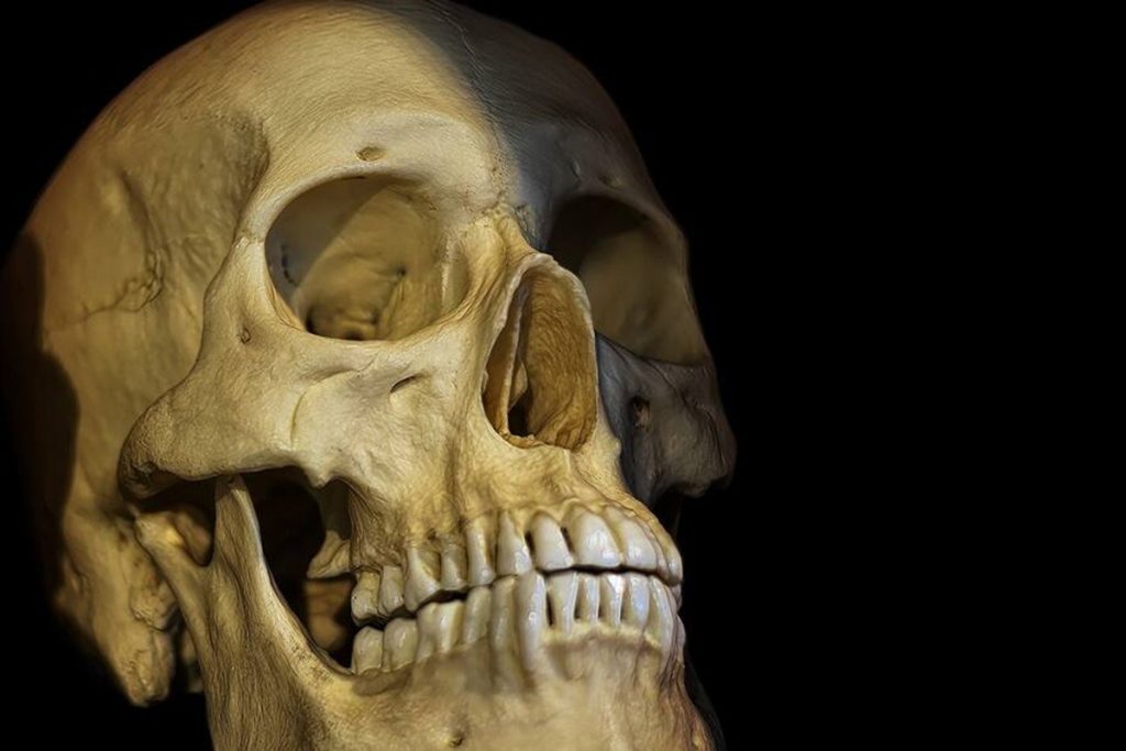 Descoberta do século: encontrado ancestral do ser humano que muda completamente a história da evolução