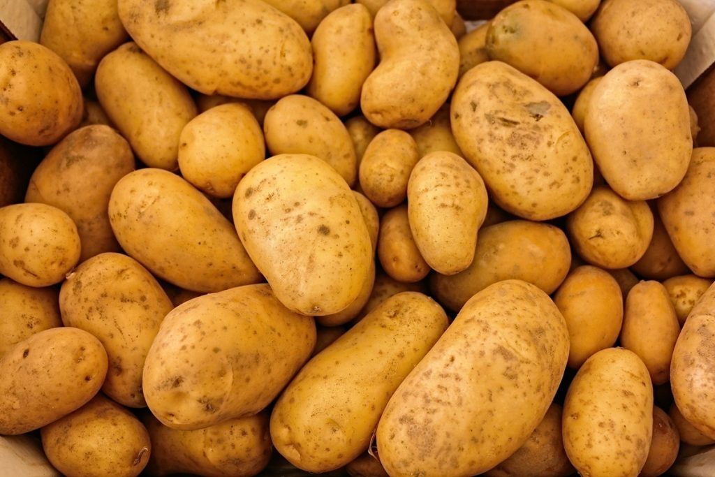 Se tem dúvidas sobre batatas com rebentos, um doutor em química explica se elas são realmente perigosas